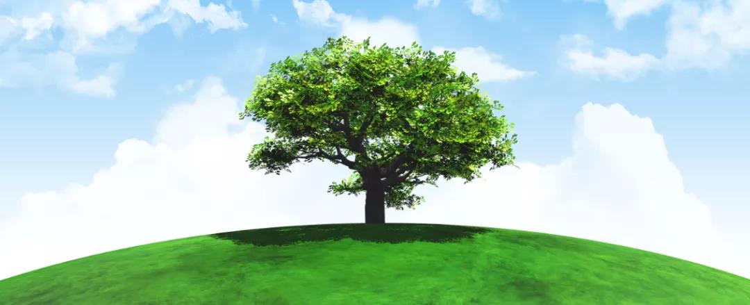 电子游戏麻将胡了app